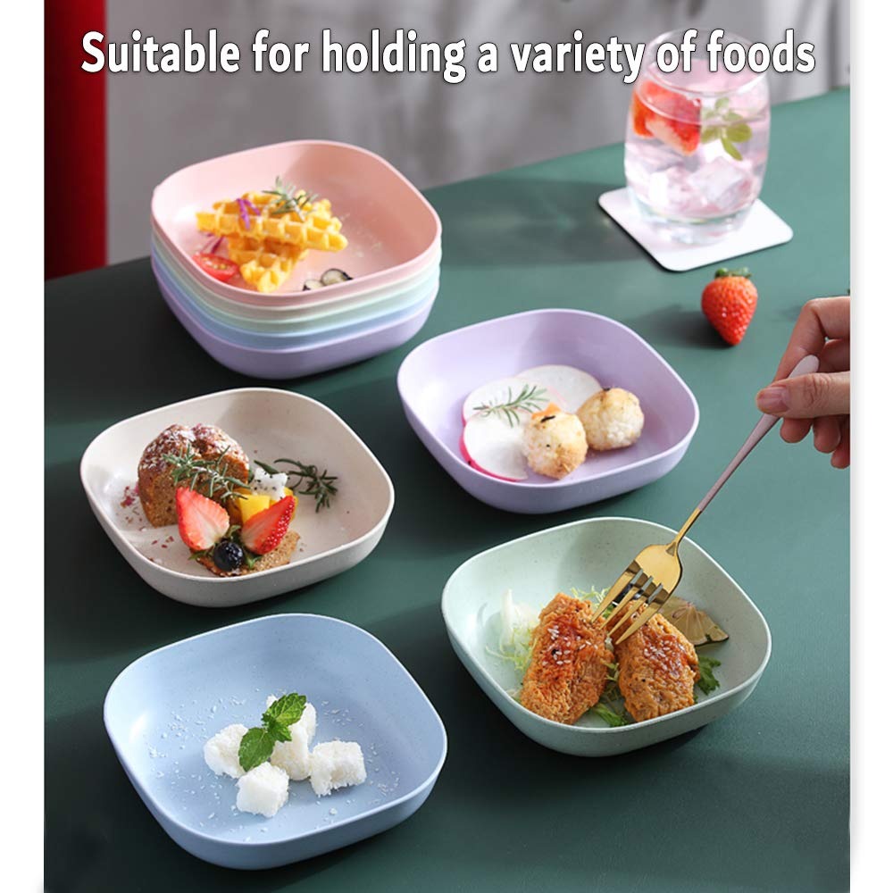 10pcs Plates Set With Holder (Random Colors) | Plates for feeding Kids in rainbow colors | Fruit Snacks Eco-Friendly Cutlery